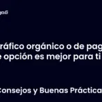 Tráfico orgánico o de pago qué opción es mejor para ti